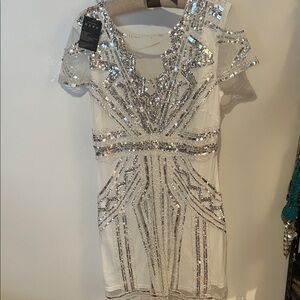Dazzling Silver Sequin Mini Dress
